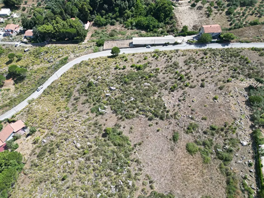 Immagine 4 di Terreno agricolo in vendita  in Contrada Rebuttone a Altofonte