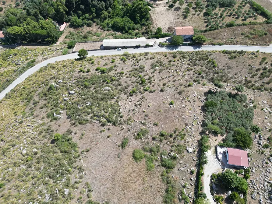 Immagine 2 di Terreno agricolo in vendita  in Contrada Rebuttone a Altofonte