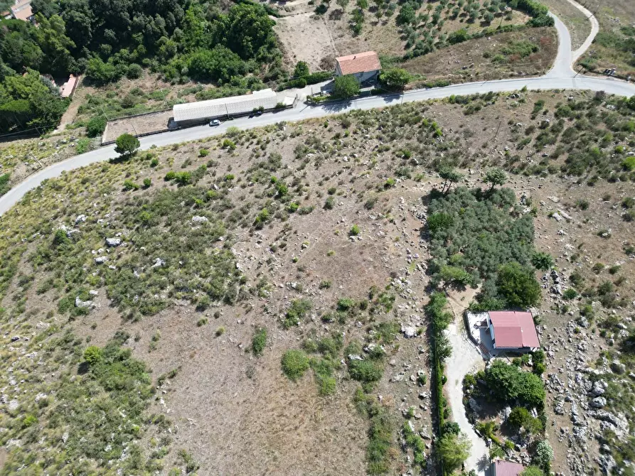 Immagine 9 di Terreno agricolo in vendita  in Contrada Rebuttone a Altofonte