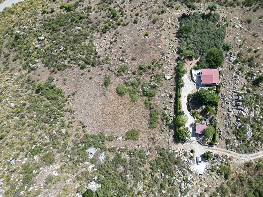 Immagine 10 di Terreno agricolo in vendita  in Contrada Rebuttone a Altofonte