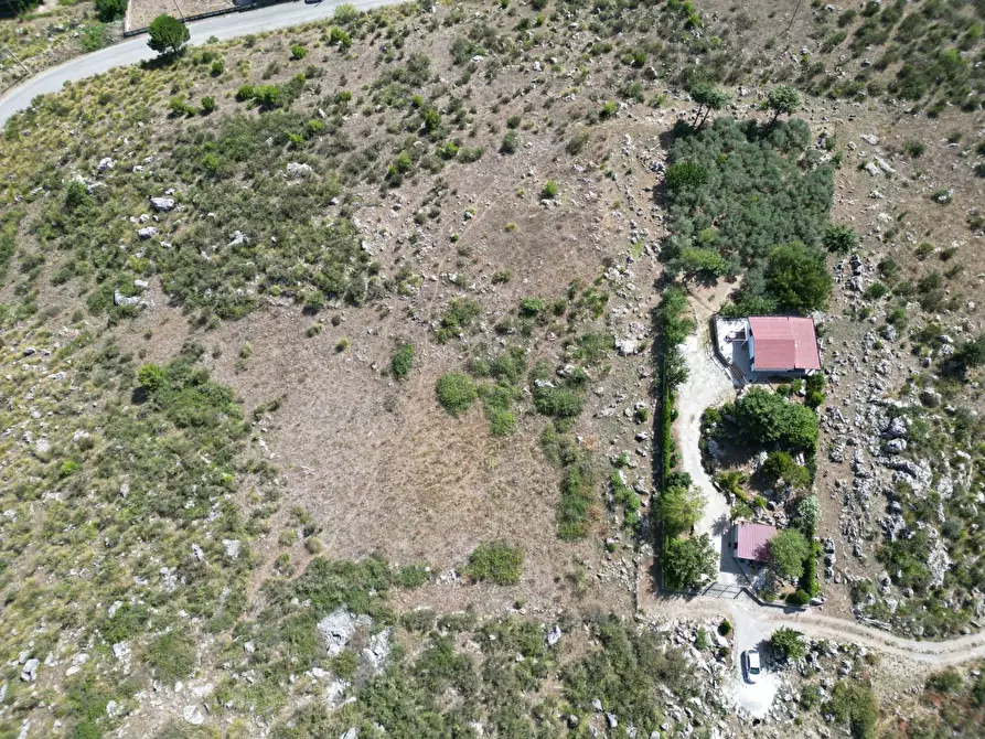 Immagine 11 di Terreno agricolo in vendita  in Contrada Rebuttone a Altofonte