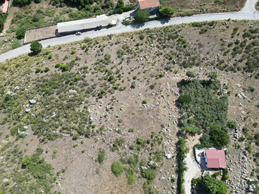 Immagine 12 di Terreno agricolo in vendita  in Contrada Rebuttone a Altofonte