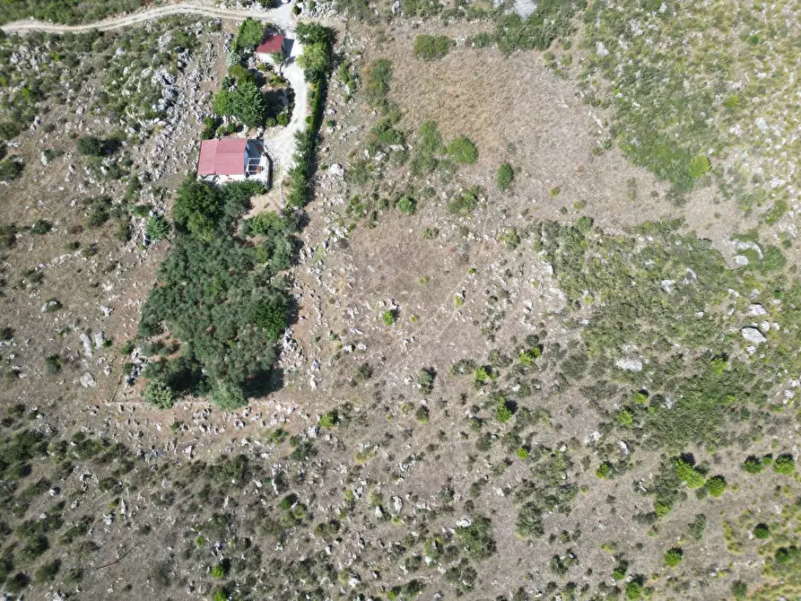 Immagine 13 di Terreno agricolo in vendita  in Contrada Rebuttone a Altofonte