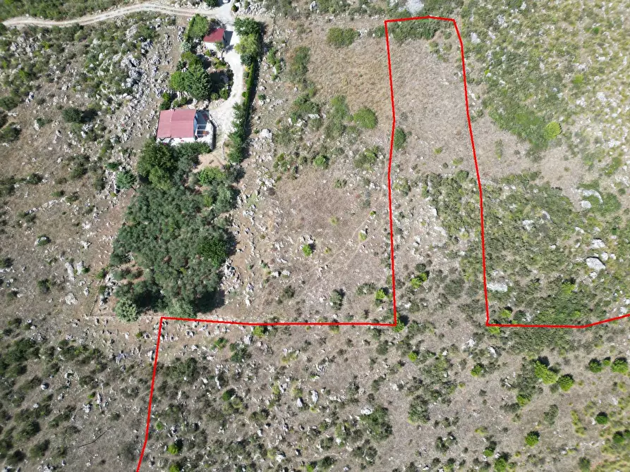 Immagine 14 di Terreno agricolo in vendita  in Contrada Rebuttone a Altofonte