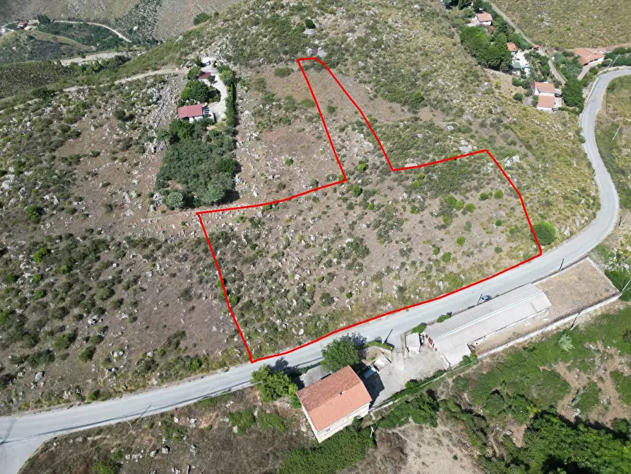 Immagine 15 di Terreno agricolo in vendita  in Contrada Rebuttone a Altofonte