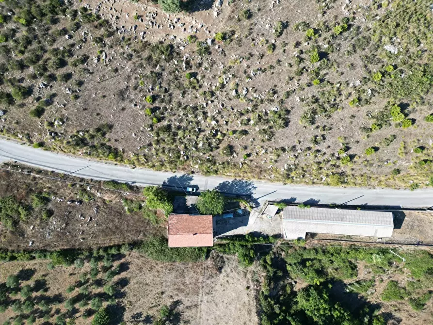 Immagine 16 di Terreno agricolo in vendita  in Contrada Rebuttone a Altofonte
