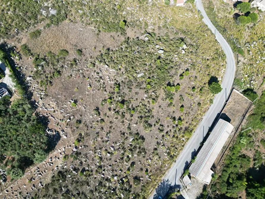 Immagine 18 di Terreno agricolo in vendita  in Contrada Rebuttone a Altofonte