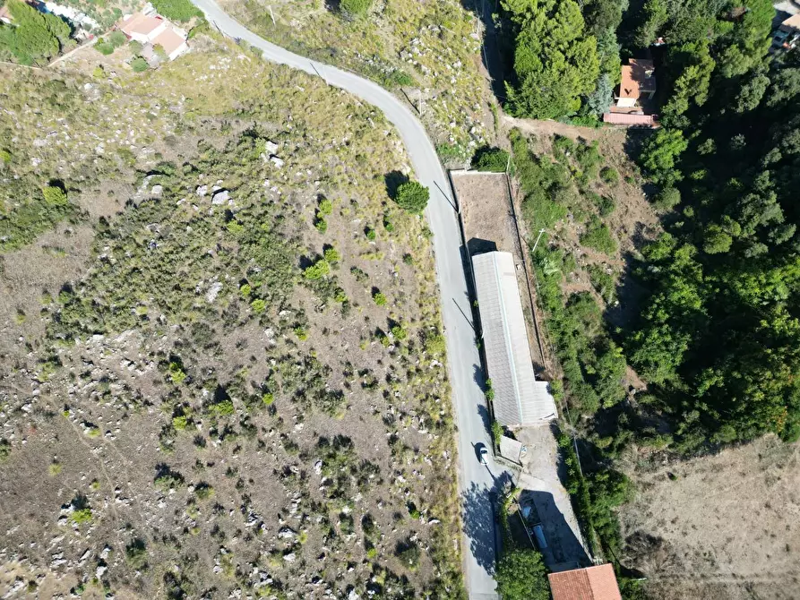 Immagine 19 di Terreno agricolo in vendita  in Contrada Rebuttone a Altofonte