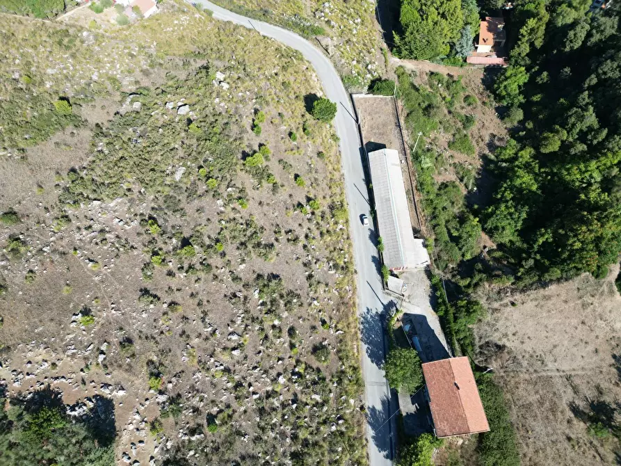 Immagine 20 di Terreno agricolo in vendita  in Contrada Rebuttone a Altofonte