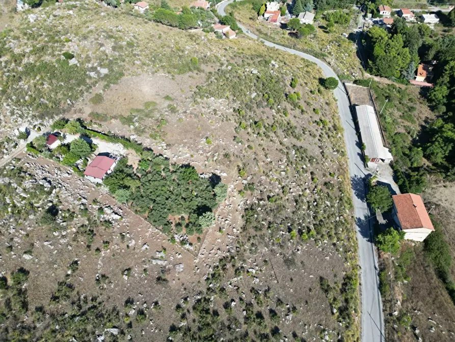 Immagine 23 di Terreno agricolo in vendita  in Contrada Rebuttone a Altofonte