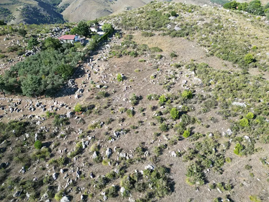 Immagine 24 di Terreno agricolo in vendita  in Contrada Rebuttone a Altofonte