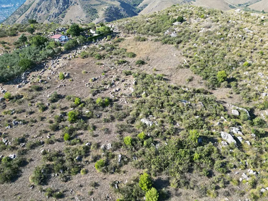 Immagine 25 di Terreno agricolo in vendita  in Contrada Rebuttone a Altofonte