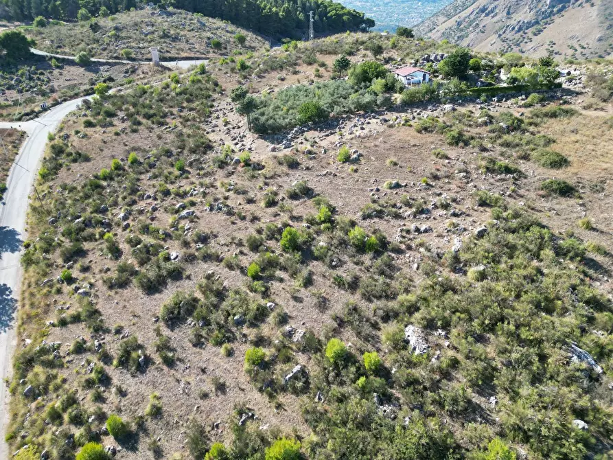 Immagine 26 di Terreno agricolo in vendita  in Contrada Rebuttone a Altofonte