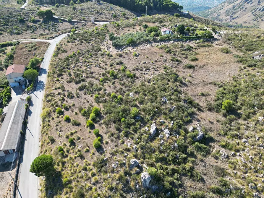 Immagine 29 di Terreno agricolo in vendita  in Contrada Rebuttone a Altofonte