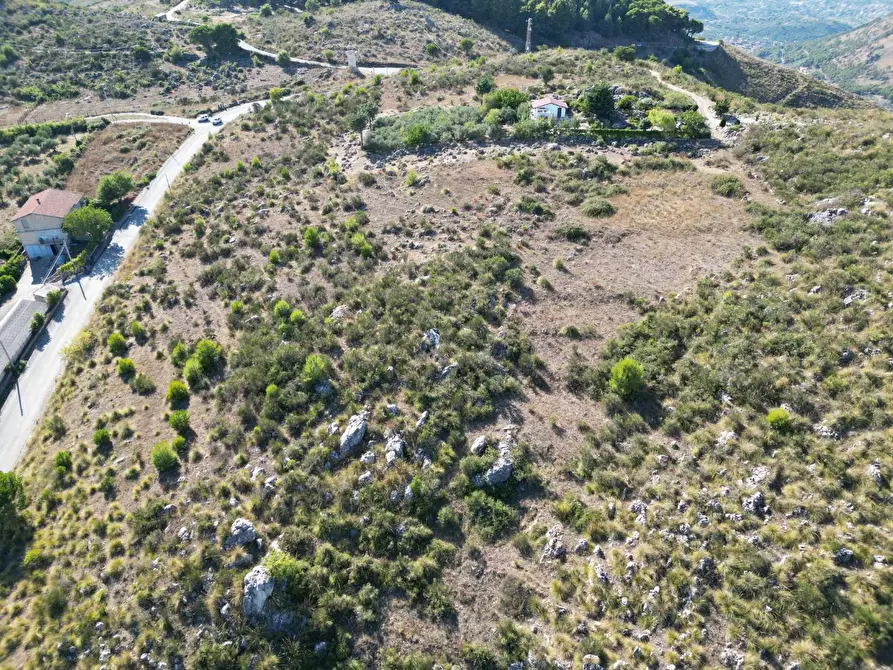 Immagine 30 di Terreno agricolo in vendita  in Contrada Rebuttone a Altofonte