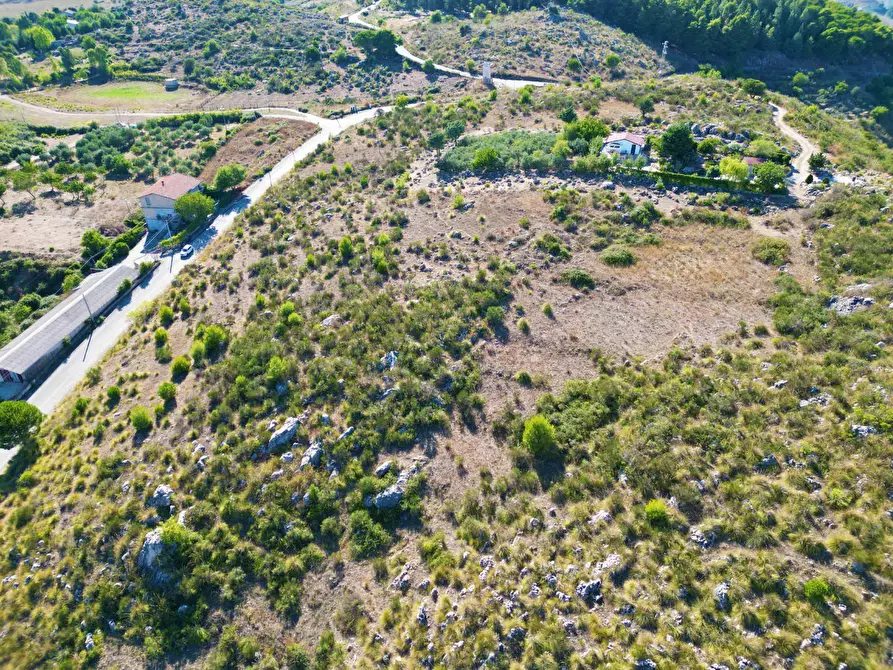 Immagine 31 di Terreno agricolo in vendita  in Contrada Rebuttone a Altofonte
