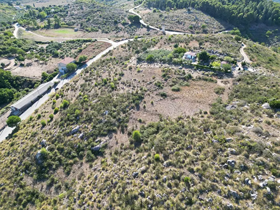Immagine 32 di Terreno agricolo in vendita  in Contrada Rebuttone a Altofonte
