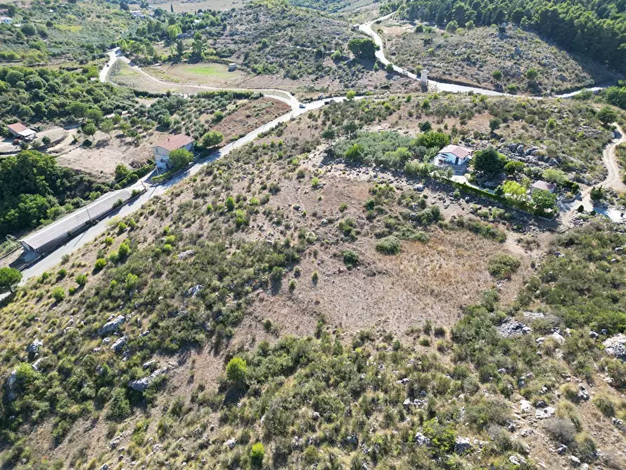 Immagine 34 di Terreno agricolo in vendita  in Contrada Rebuttone a Altofonte