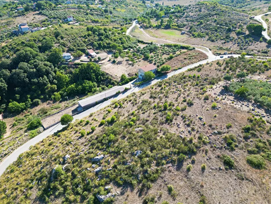 Immagine 35 di Terreno agricolo in vendita  in Contrada Rebuttone a Altofonte