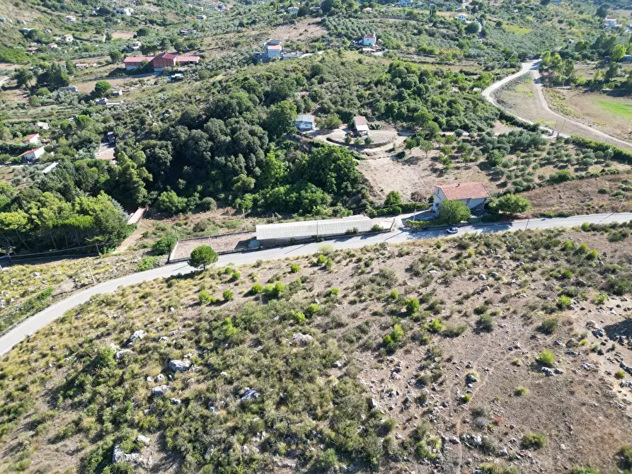 Immagine 36 di Terreno agricolo in vendita  in Contrada Rebuttone a Altofonte