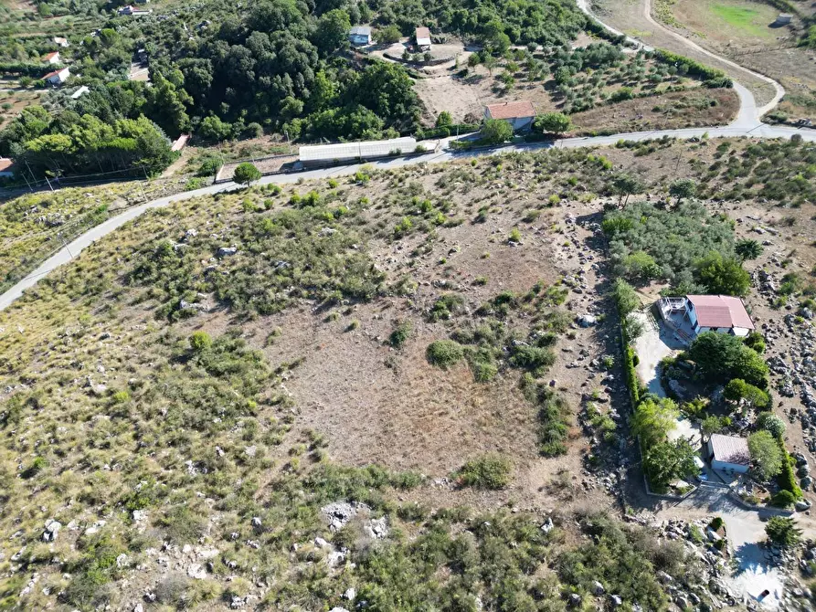 Immagine 38 di Terreno agricolo in vendita  in Contrada Rebuttone a Altofonte