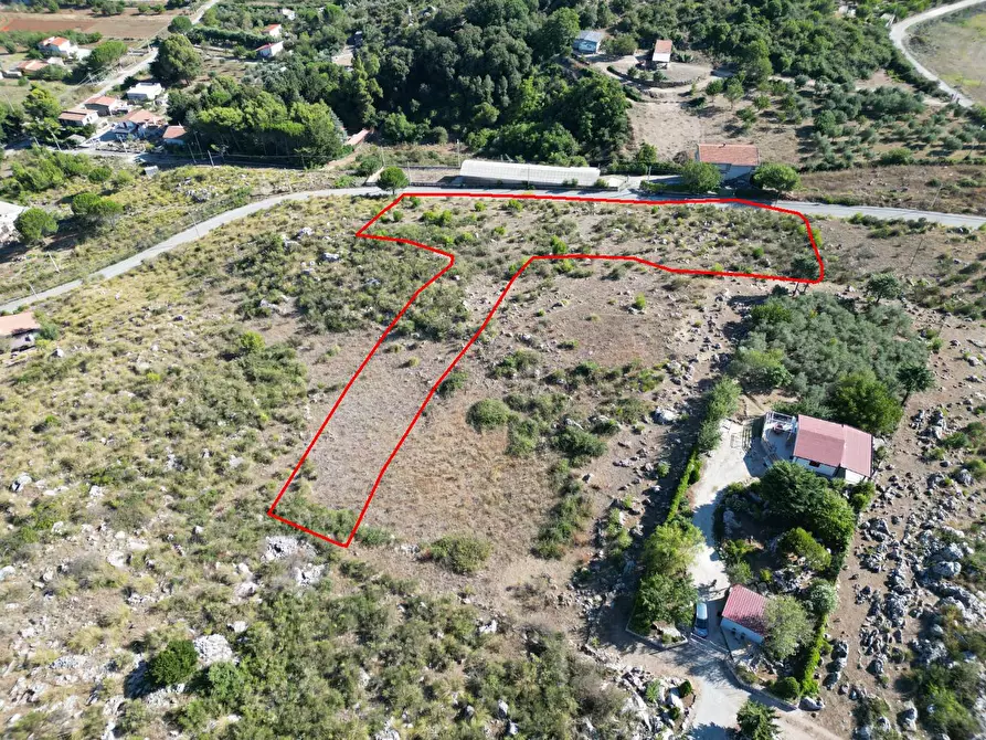 Immagine 39 di Terreno agricolo in vendita  in Contrada Rebuttone a Altofonte
