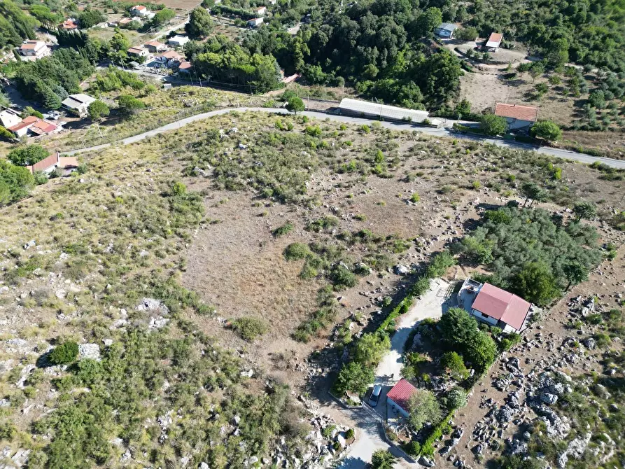 Immagine 40 di Terreno agricolo in vendita  in Contrada Rebuttone a Altofonte