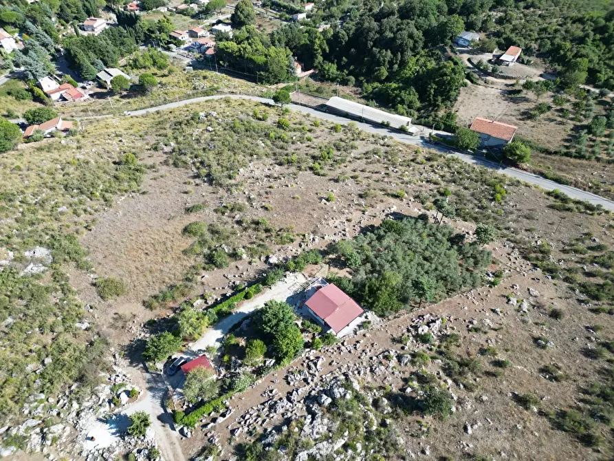 Immagine 41 di Terreno agricolo in vendita  in Contrada Rebuttone a Altofonte