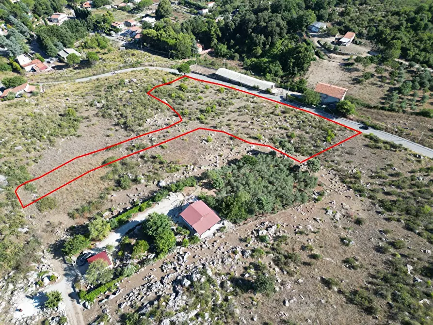 Immagine 42 di Terreno agricolo in vendita  in Contrada Rebuttone a Altofonte