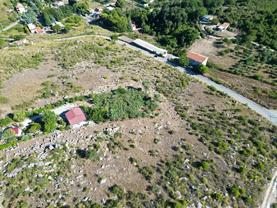 Immagine 43 di Terreno agricolo in vendita  in Contrada Rebuttone a Altofonte