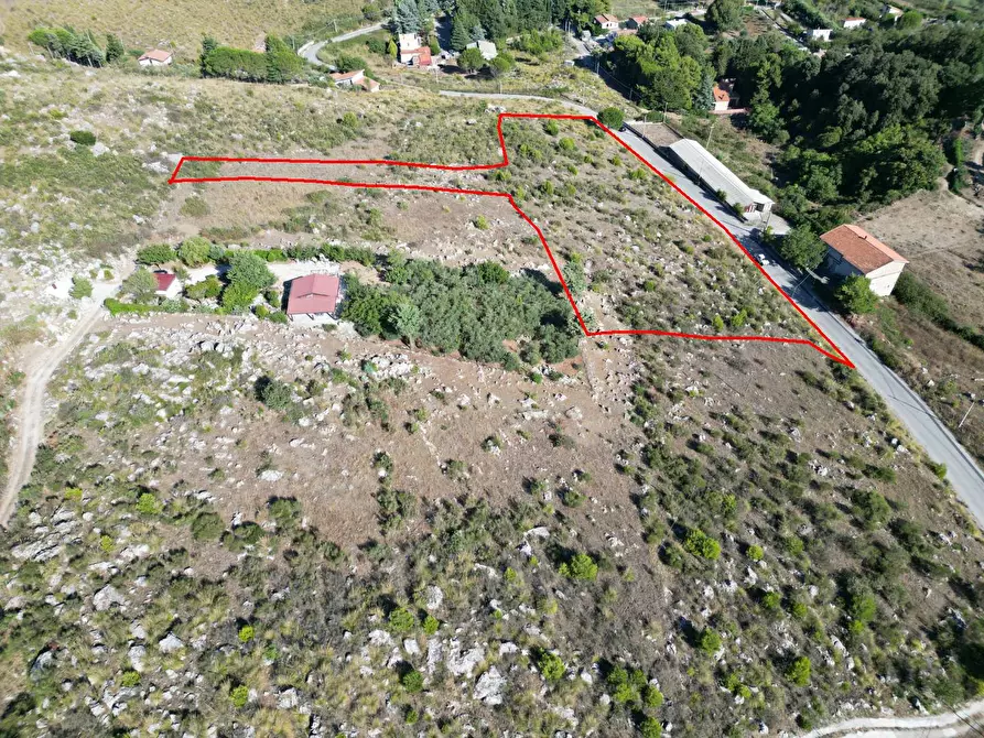 Immagine 44 di Terreno agricolo in vendita  in Contrada Rebuttone a Altofonte