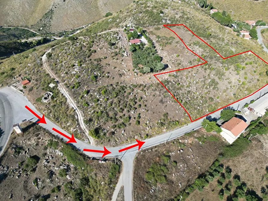 Immagine 47 di Terreno agricolo in vendita  in Contrada Rebuttone a Altofonte