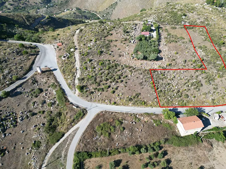 Immagine 48 di Terreno agricolo in vendita  in Contrada Rebuttone a Altofonte