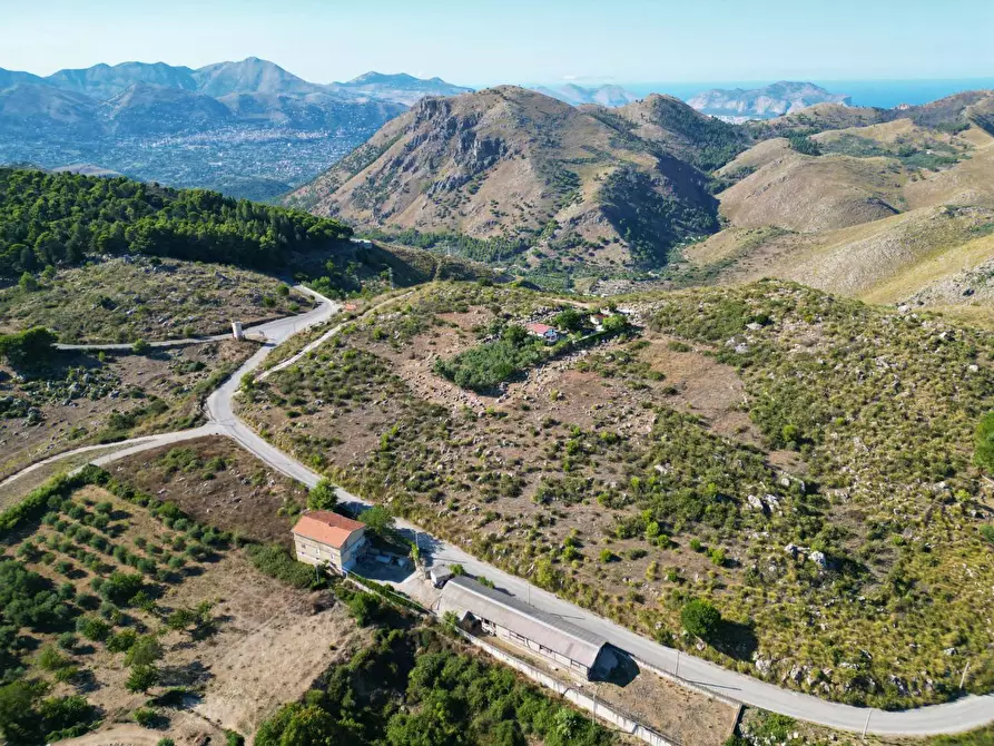 Immagine 52 di Terreno agricolo in vendita  in Contrada Rebuttone a Altofonte