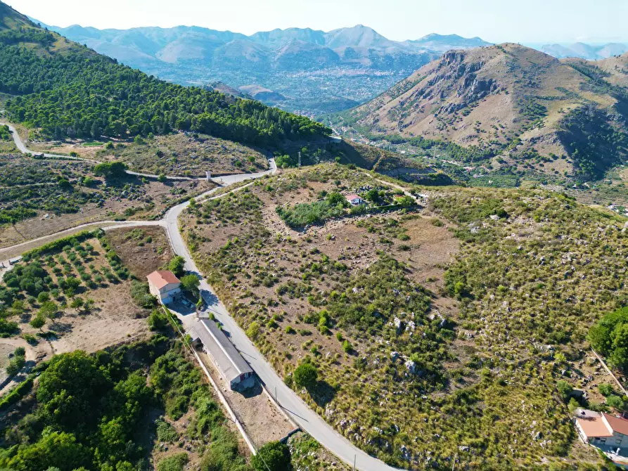 Immagine 56 di Terreno agricolo in vendita  in Contrada Rebuttone a Altofonte