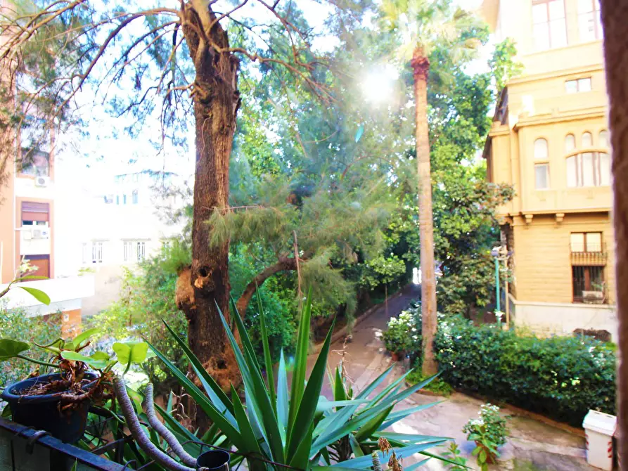 Immagine 27 di Appartamento in vendita  in Via Dante 157 a Palermo