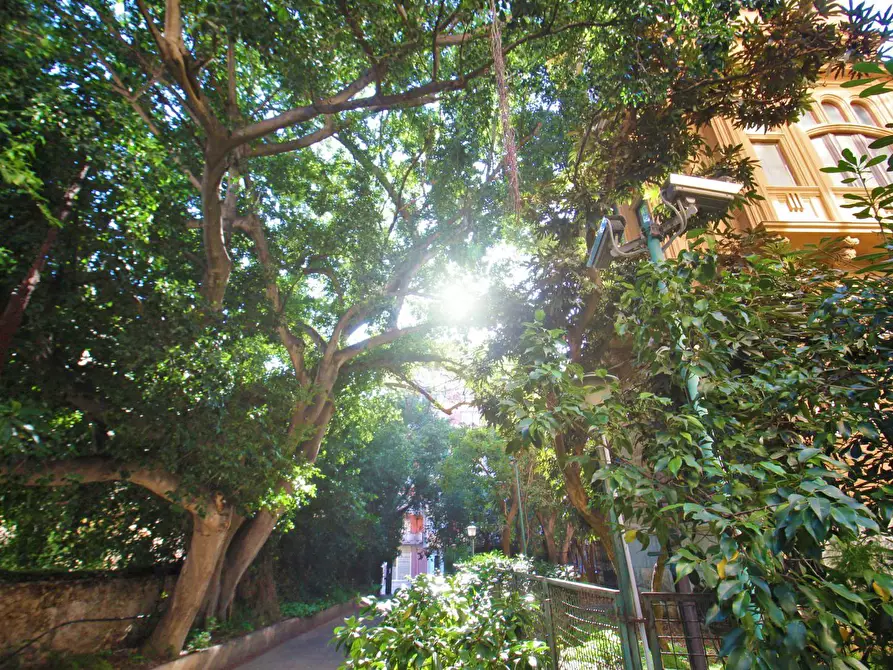 Immagine 101 di Appartamento in vendita  in Via Dante 157 a Palermo