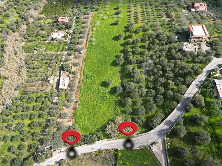 Immagine 3 di Terreno agricolo in vendita  in Strada Comunale Torre Amalfitano a Bagheria
