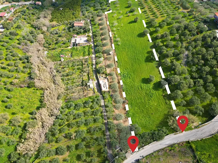 Immagine 4 di Terreno agricolo in vendita  in Strada Comunale Torre Amalfitano a Bagheria