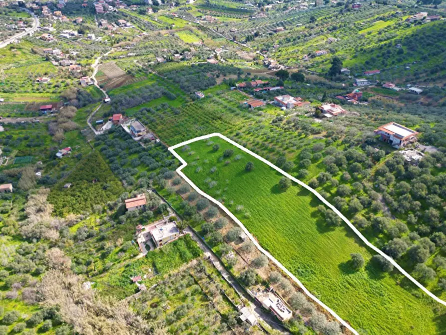 Immagine 5 di Terreno agricolo in vendita  in Strada Comunale Torre Amalfitano a Bagheria