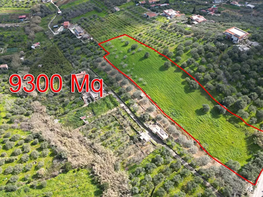 Immagine 6 di Terreno agricolo in vendita  in Strada Comunale Torre Amalfitano a Bagheria