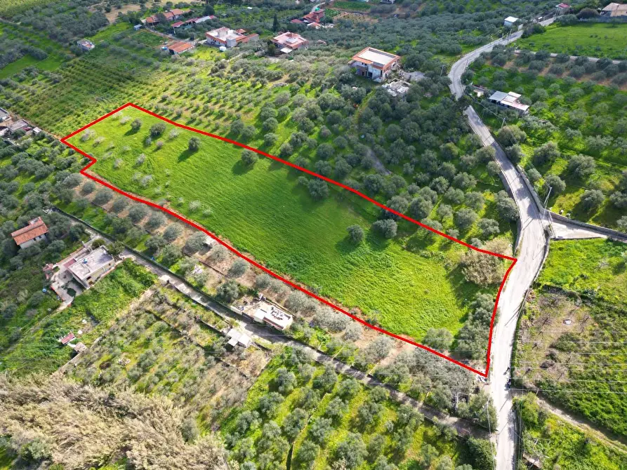 Immagine 7 di Terreno agricolo in vendita  in Strada Comunale Torre Amalfitano a Bagheria