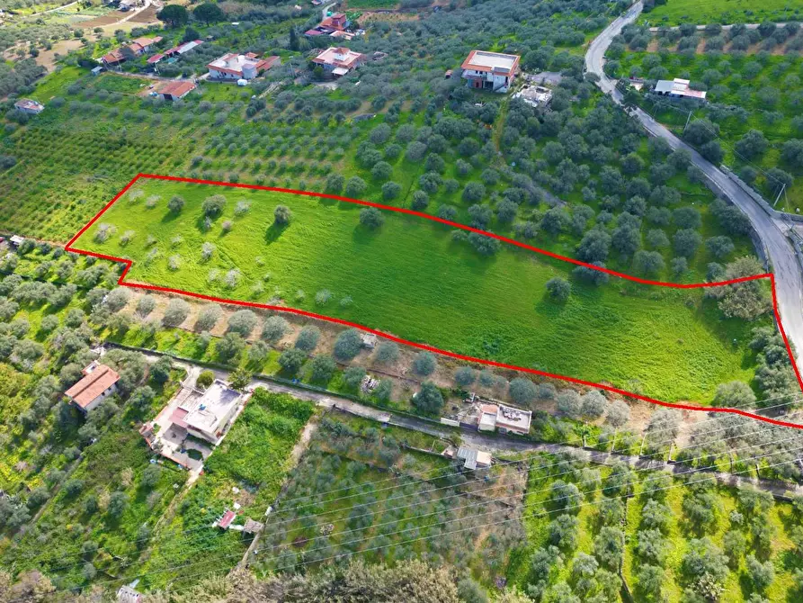 Immagine 8 di Terreno agricolo in vendita  in Strada Comunale Torre Amalfitano a Bagheria