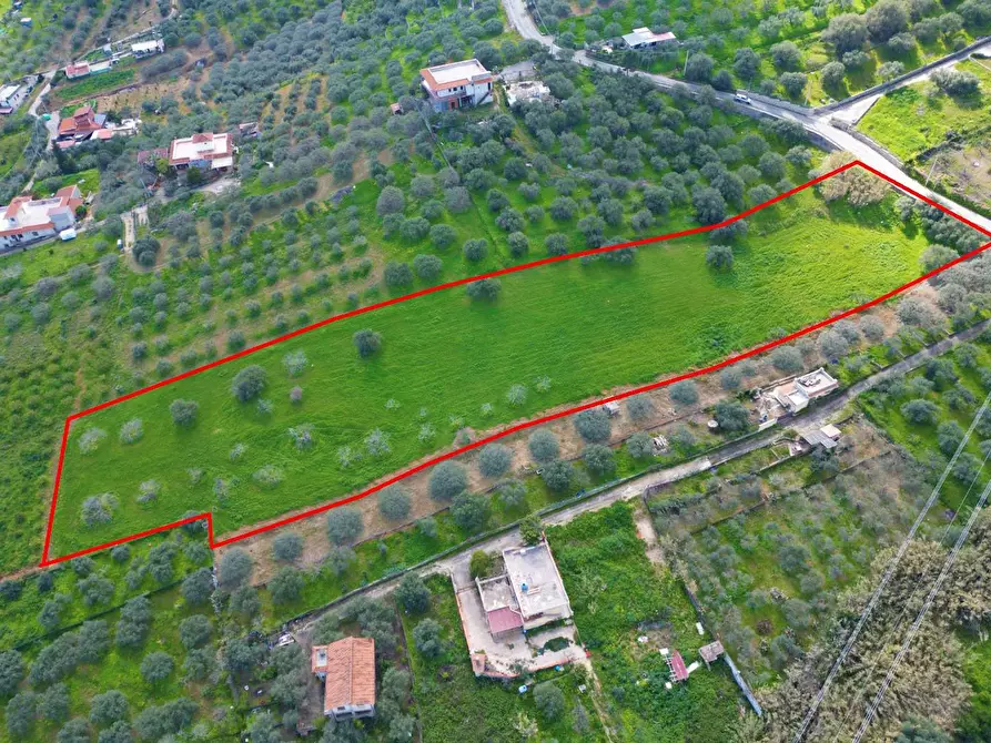 Immagine 11 di Terreno agricolo in vendita  in Strada Comunale Torre Amalfitano a Bagheria