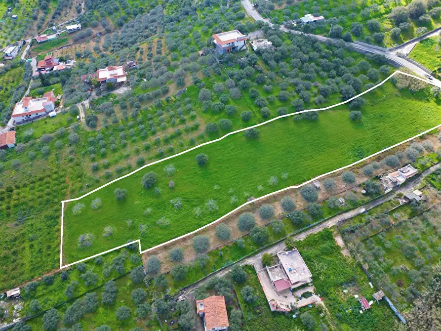 Immagine 12 di Terreno agricolo in vendita  in Strada Comunale Torre Amalfitano a Bagheria