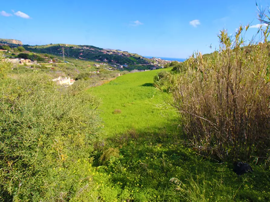 Immagine 15 di Terreno agricolo in vendita  in Strada Comunale Torre Amalfitano a Bagheria
