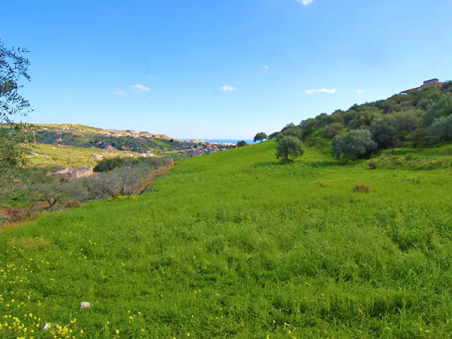 Immagine 16 di Terreno agricolo in vendita  in Strada Comunale Torre Amalfitano a Bagheria