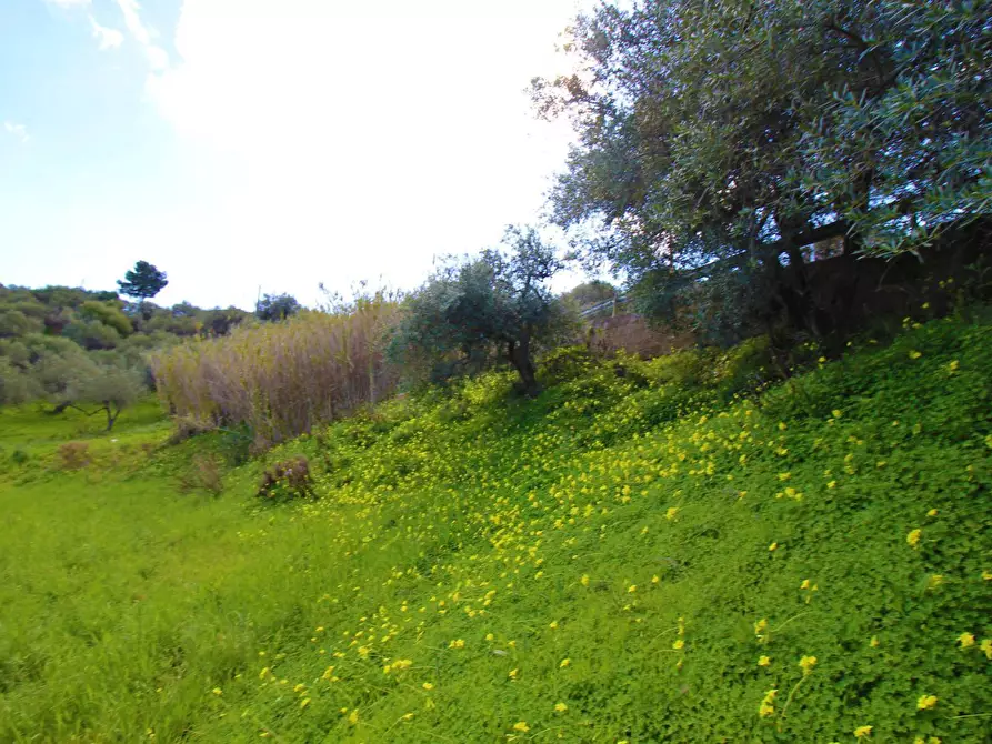 Immagine 17 di Terreno agricolo in vendita  in Strada Comunale Torre Amalfitano a Bagheria