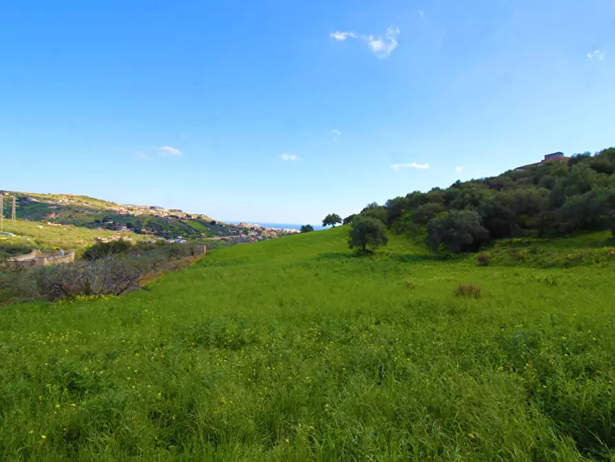 Immagine 18 di Terreno agricolo in vendita  in Strada Comunale Torre Amalfitano a Bagheria