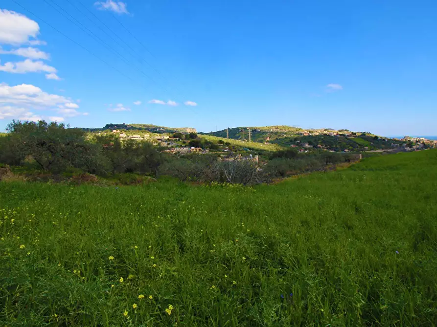 Immagine 19 di Terreno agricolo in vendita  in Strada Comunale Torre Amalfitano a Bagheria